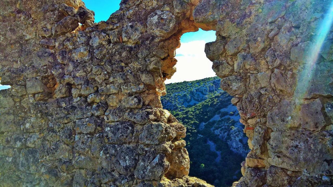 Les Studios De St Guilhem Saint-Guilhem-le-Desert Zewnętrze zdjęcie