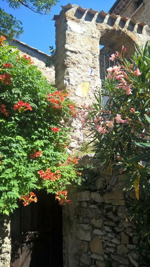 Les Studios De St Guilhem Saint-Guilhem-le-Desert Zewnętrze zdjęcie