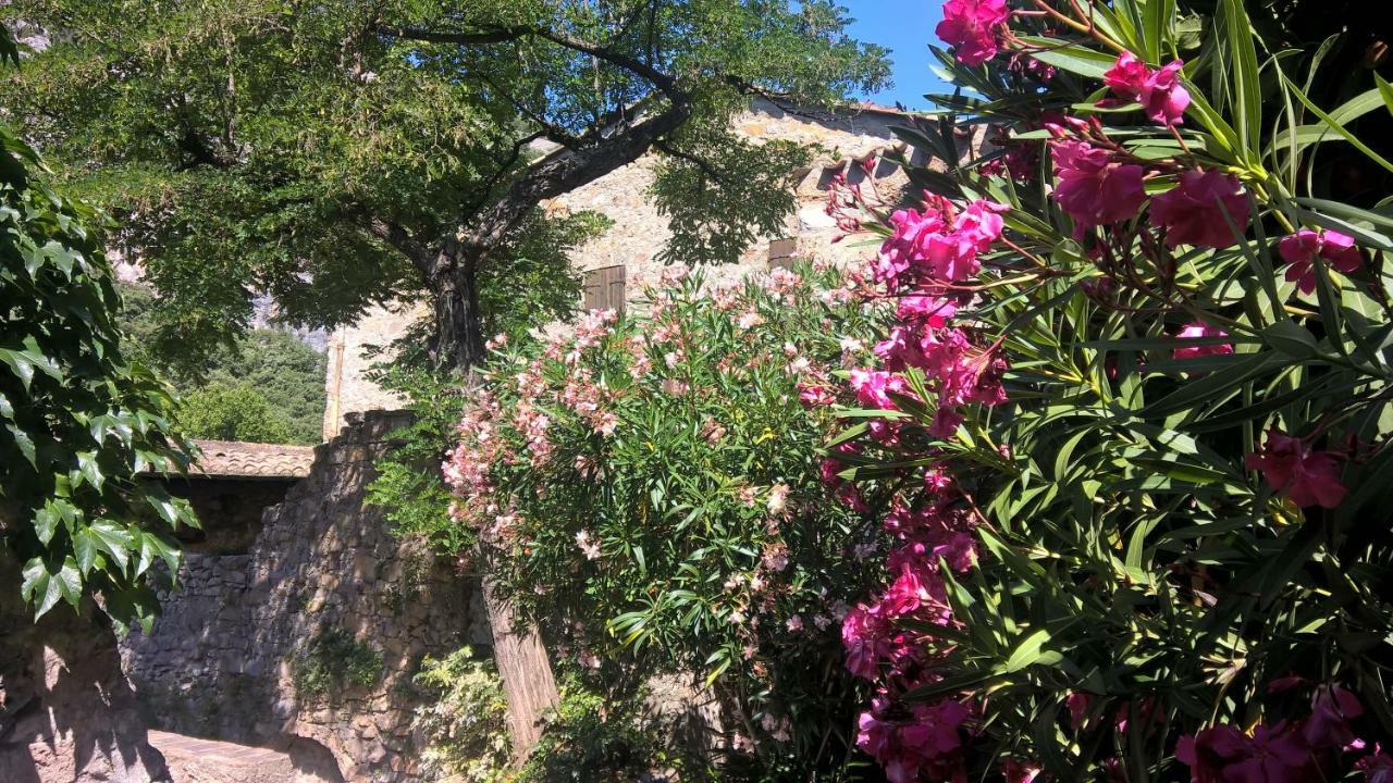 Les Studios De St Guilhem Saint-Guilhem-le-Desert Zewnętrze zdjęcie